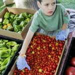 The Cache Valley Gardener’s Market takes place at Merlin Olsen Park every Saturday morning. The market includes a variety of homegrown produce as well as handmade crafts. CARL R. WILSON photo