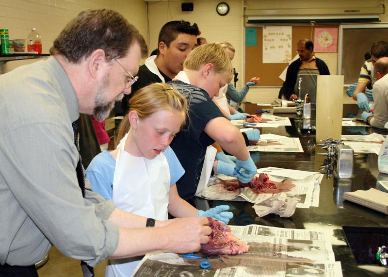 Unwrapping science one pig heart at a time