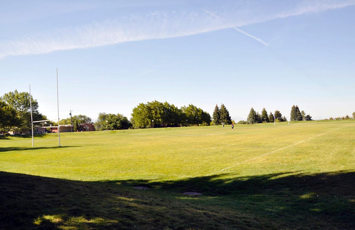 Students to vote on turf installation