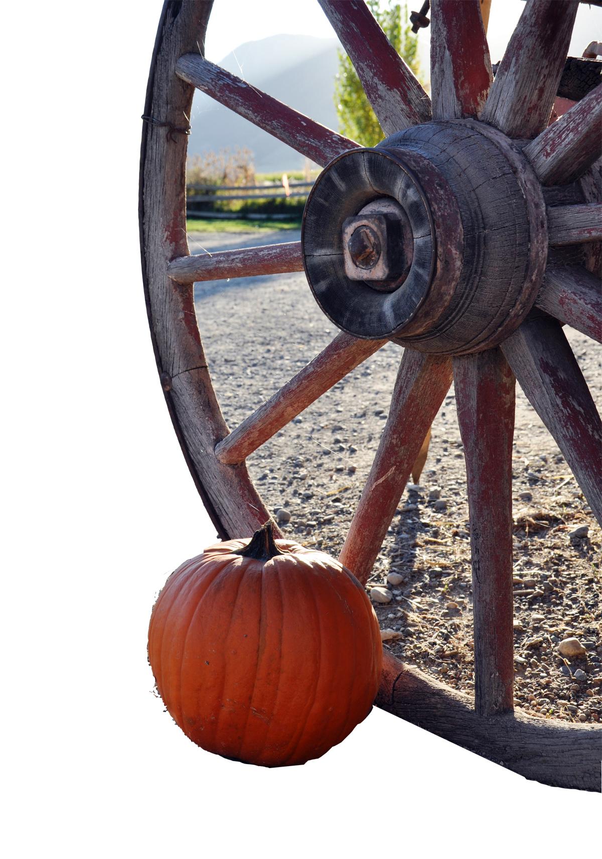 A cauldron full of tricks and treats