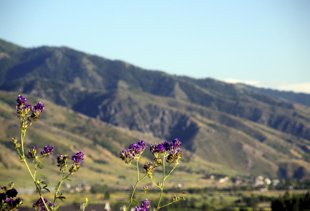 USU revamps summer school