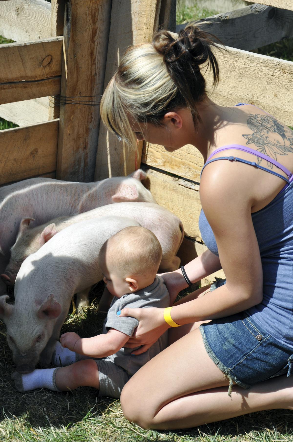 Weather takes a turn in time for Baby Animal Days