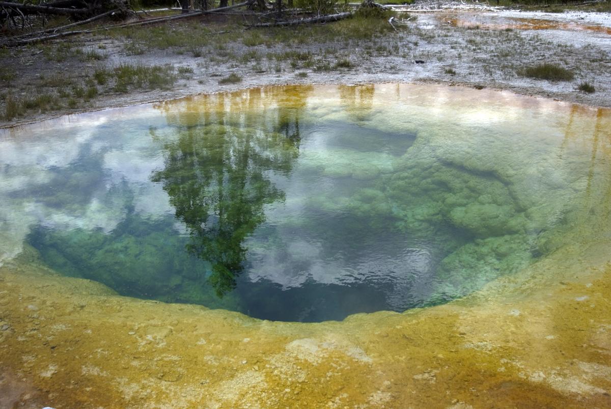 Lack of exposure to national parks being examined