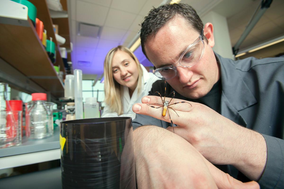 Spider silk uses continue to grow