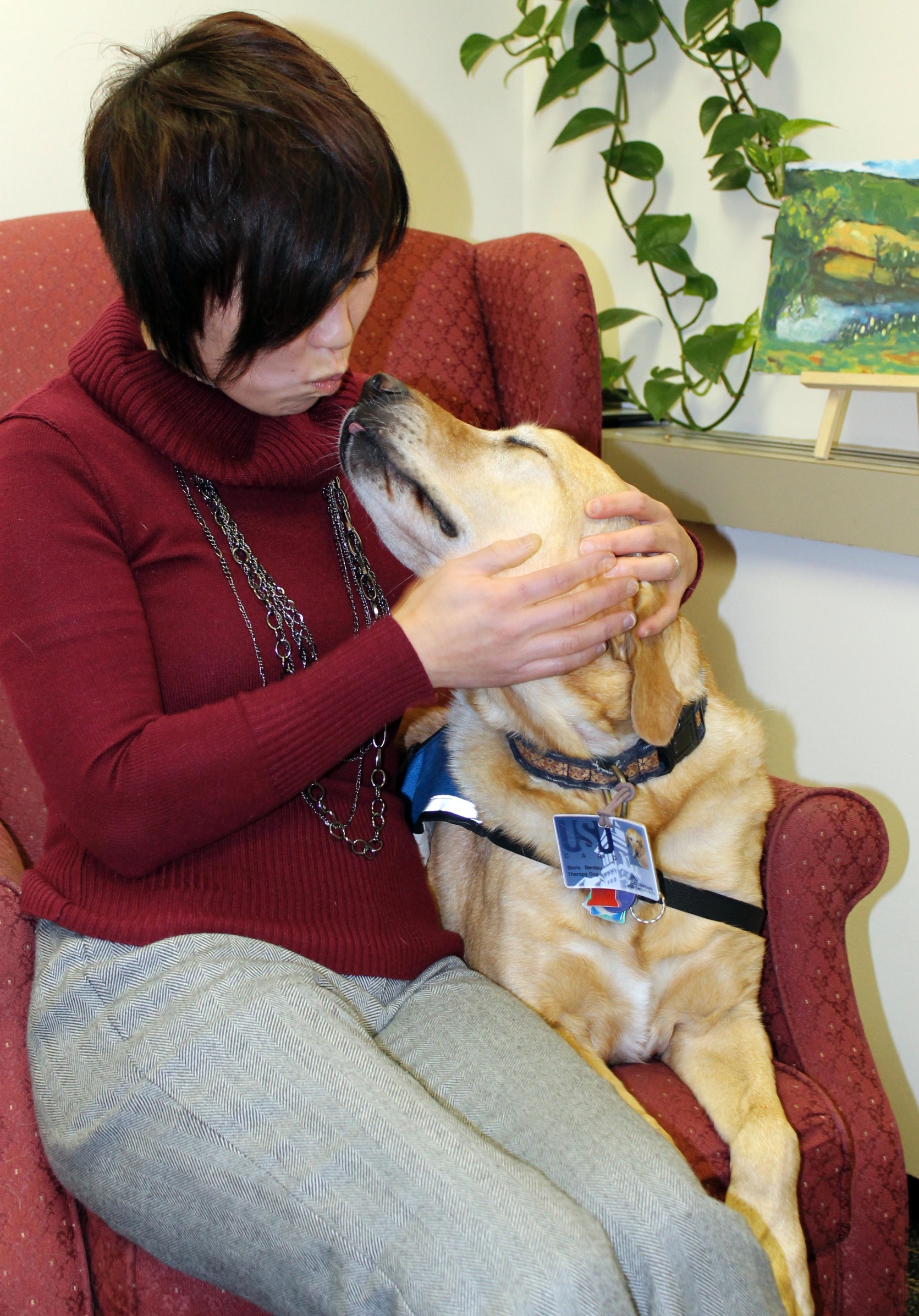 Finding comfort in the presence of pets