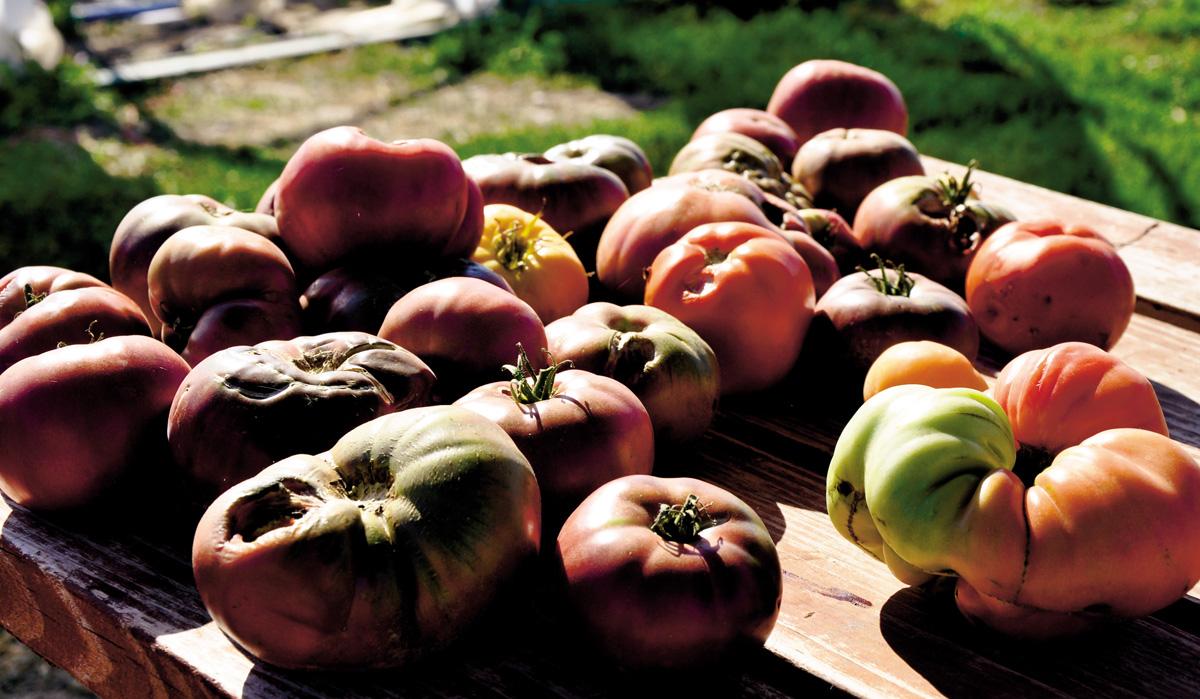 Two groups’ views on local food