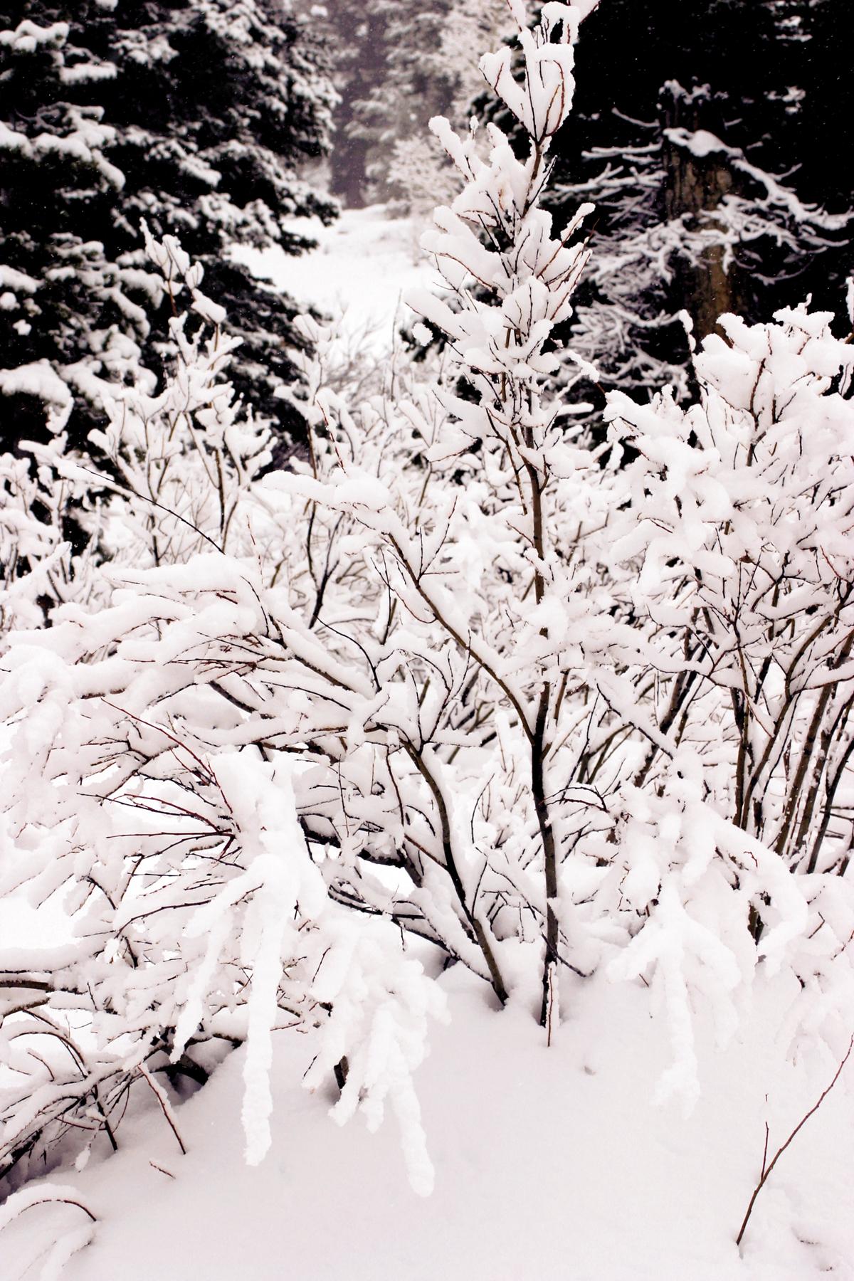 Valley’s recent sub-zero temps show patterns