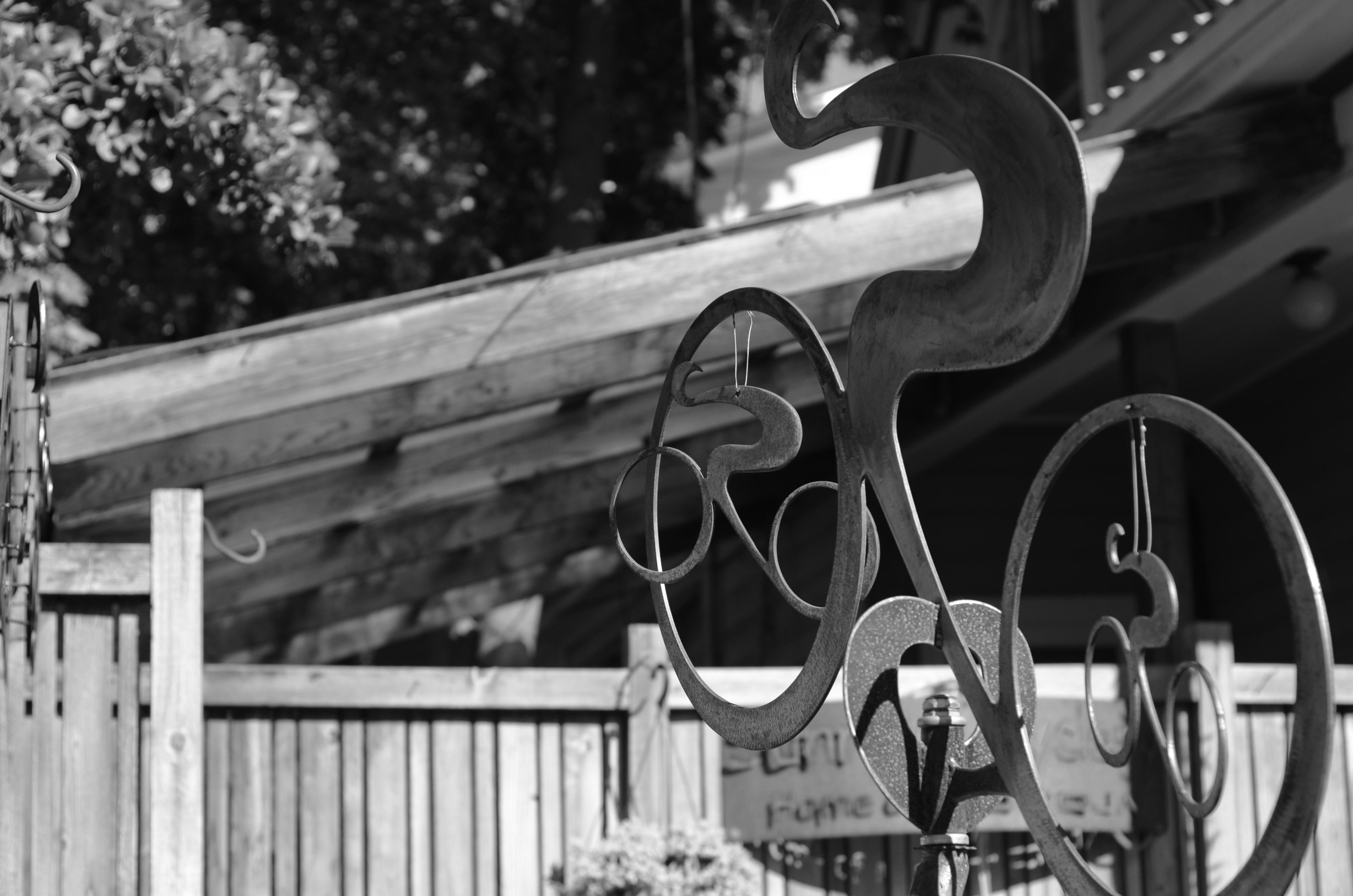 Annual event draws cyclists in droves