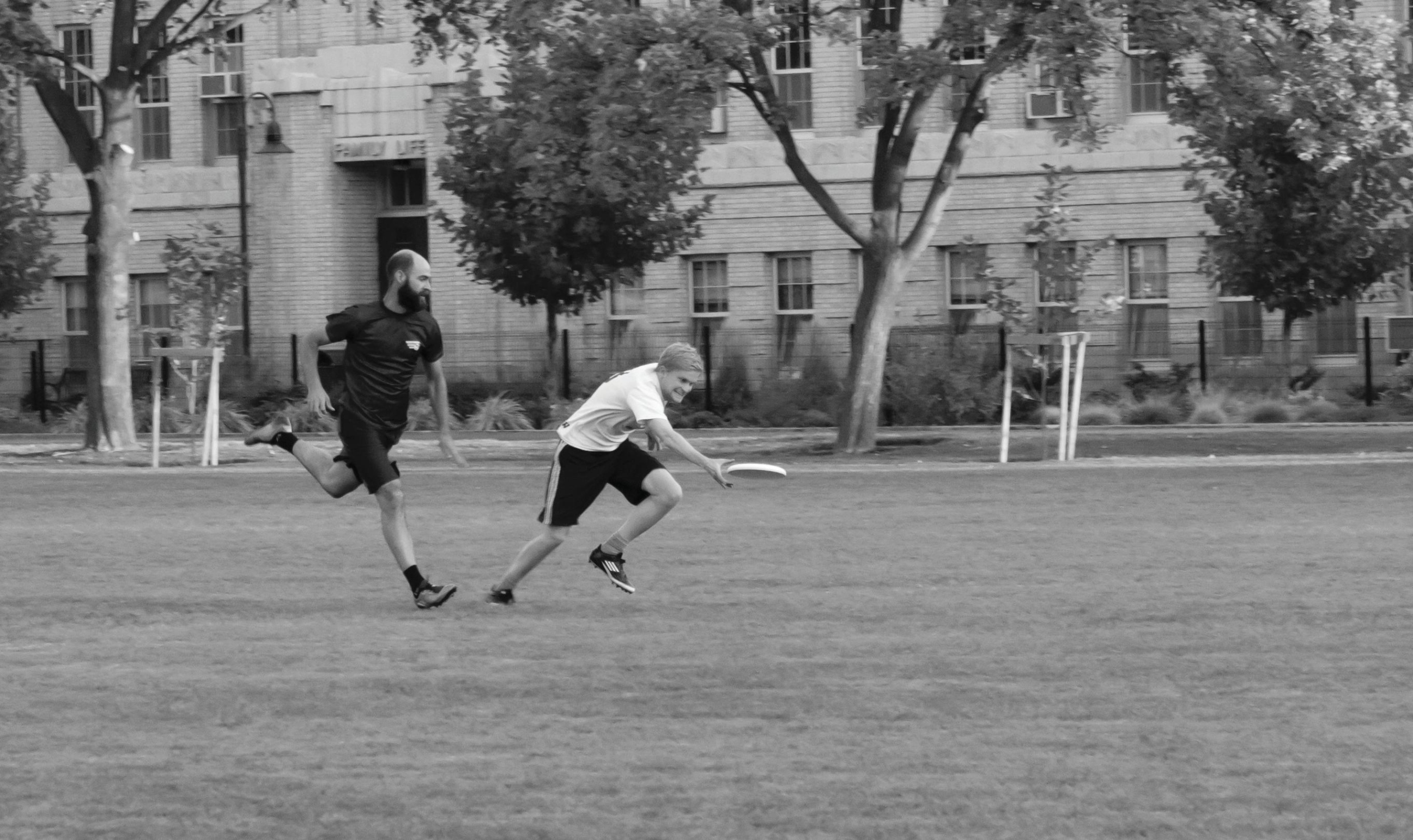 USU Ultimate expects dividends