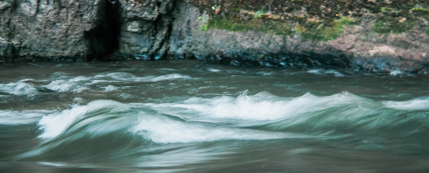 University adopts ‘Year of Water’ theme