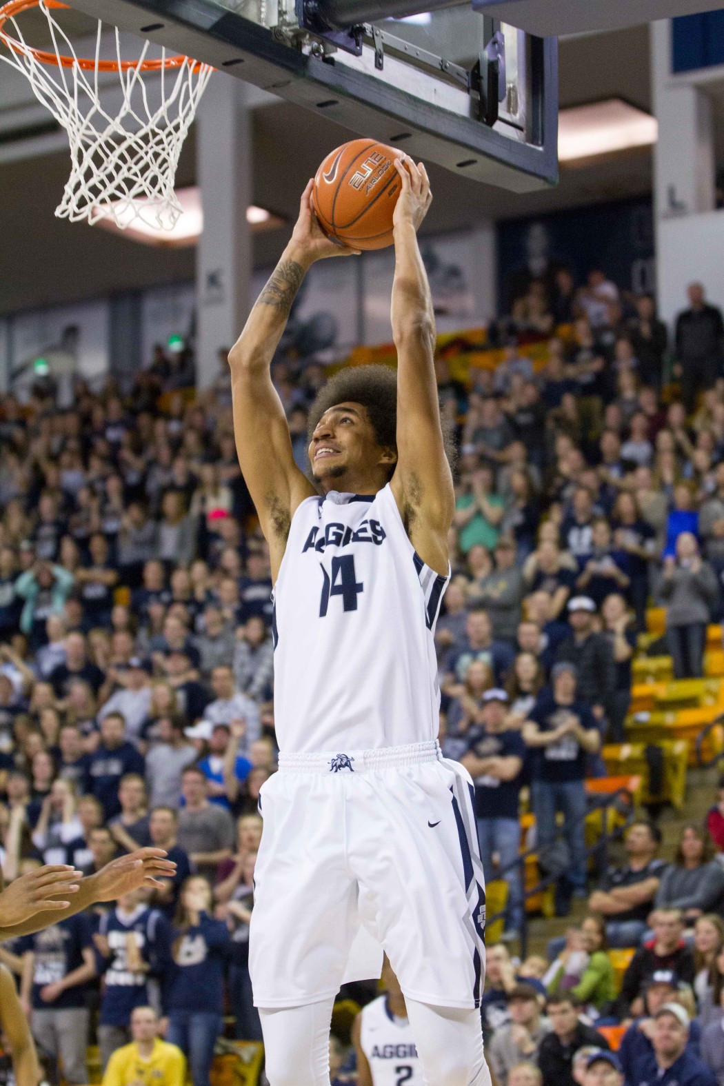 USU s roller coaster regular season ends this Saturday The Utah