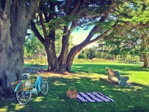 Summer-picnic