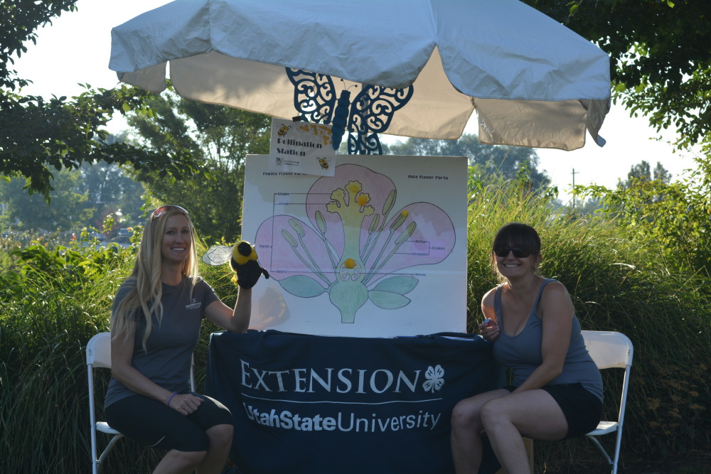 USU Extension promotes bee lifecycle conservation