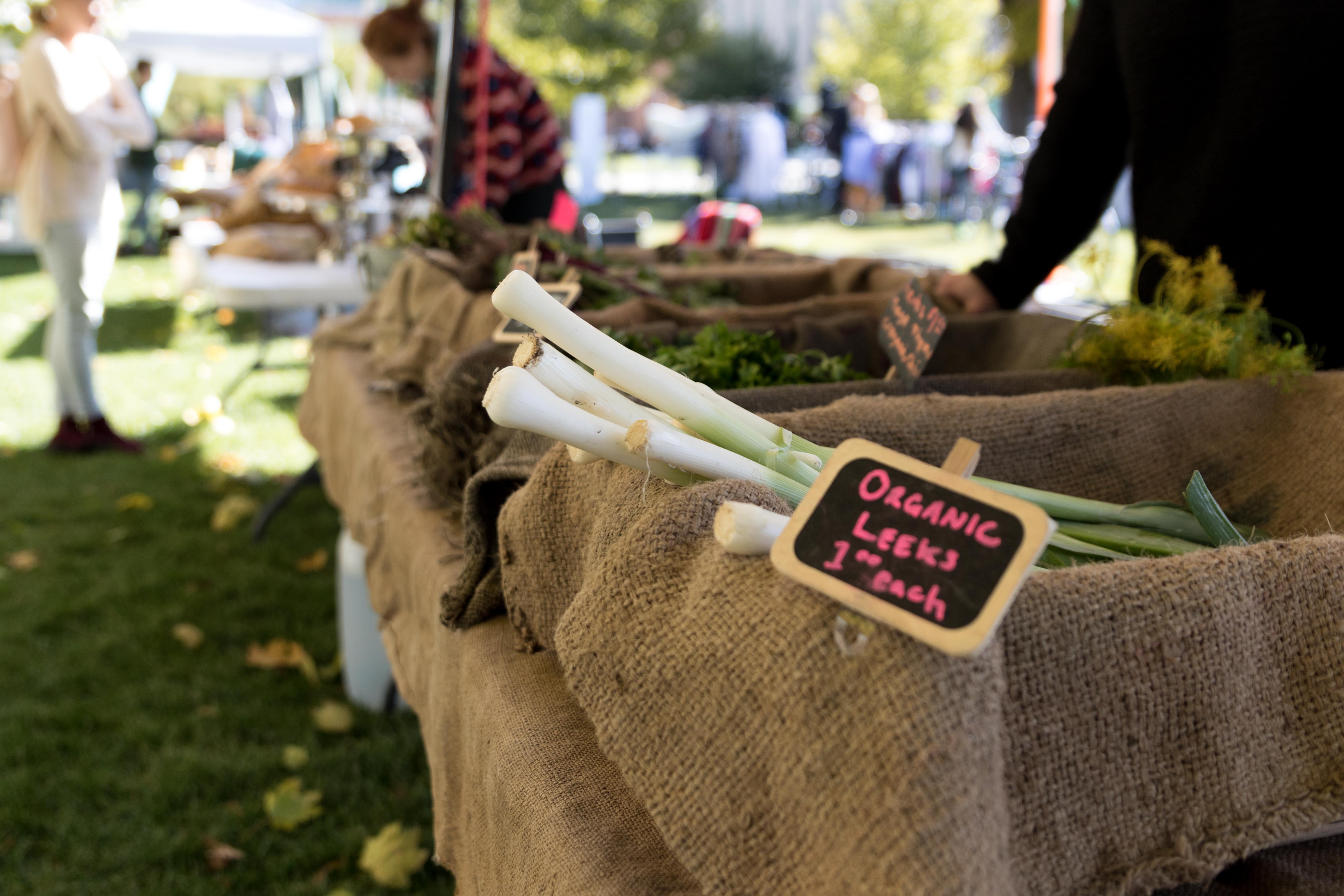 Students Get Their Hands Dirty At The USU Organic Farm The Utah Statesman