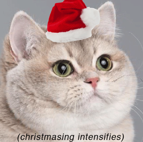 merry christmas ya filthy animal gif
