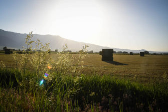 EDITORIAL: Cache Valley is beautiful—make sure you take the time to notice