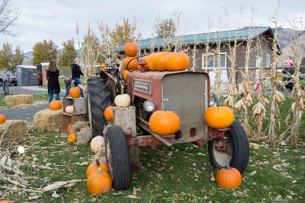 “Imagine That” theme fuels displays at North Logan Pumpkin Walk The