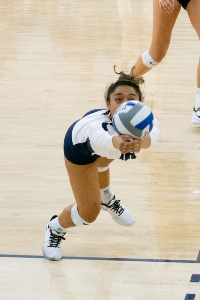 Gallery Volleyball Vs Fresno State The Utah Statesman