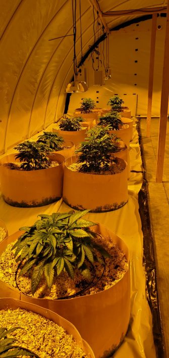 Cannabis pharmacy to open in North Logan