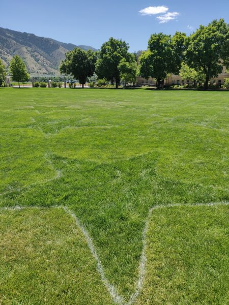 Large stars that were cut into the grass of the Quad are shown.