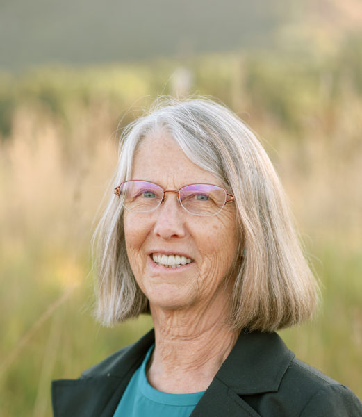 Utah Senate candidate Nancy Huntly