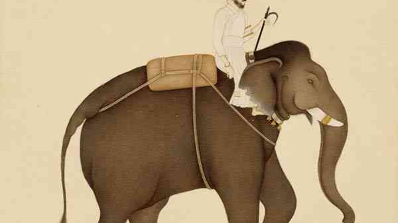 The Elephant And The Rider The Utah Statesman