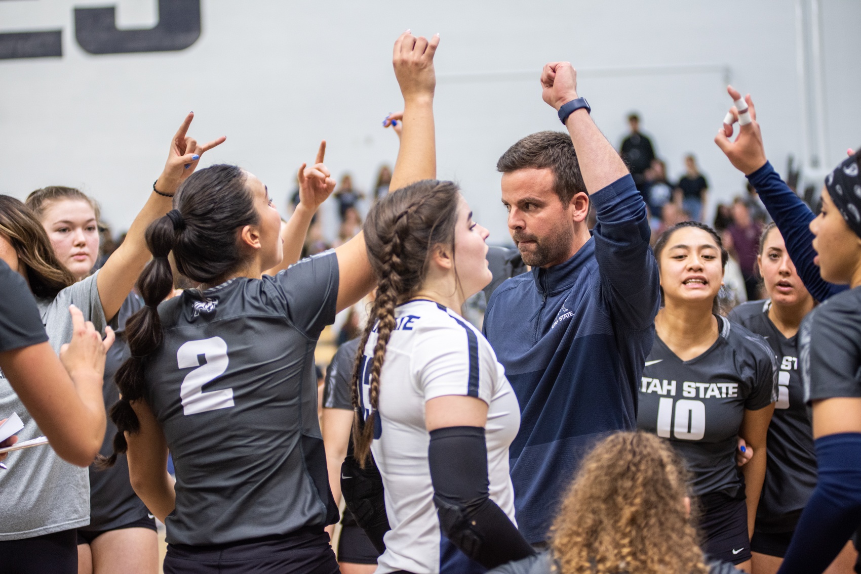 Historic season for USU women's sports - The Utah Statesman