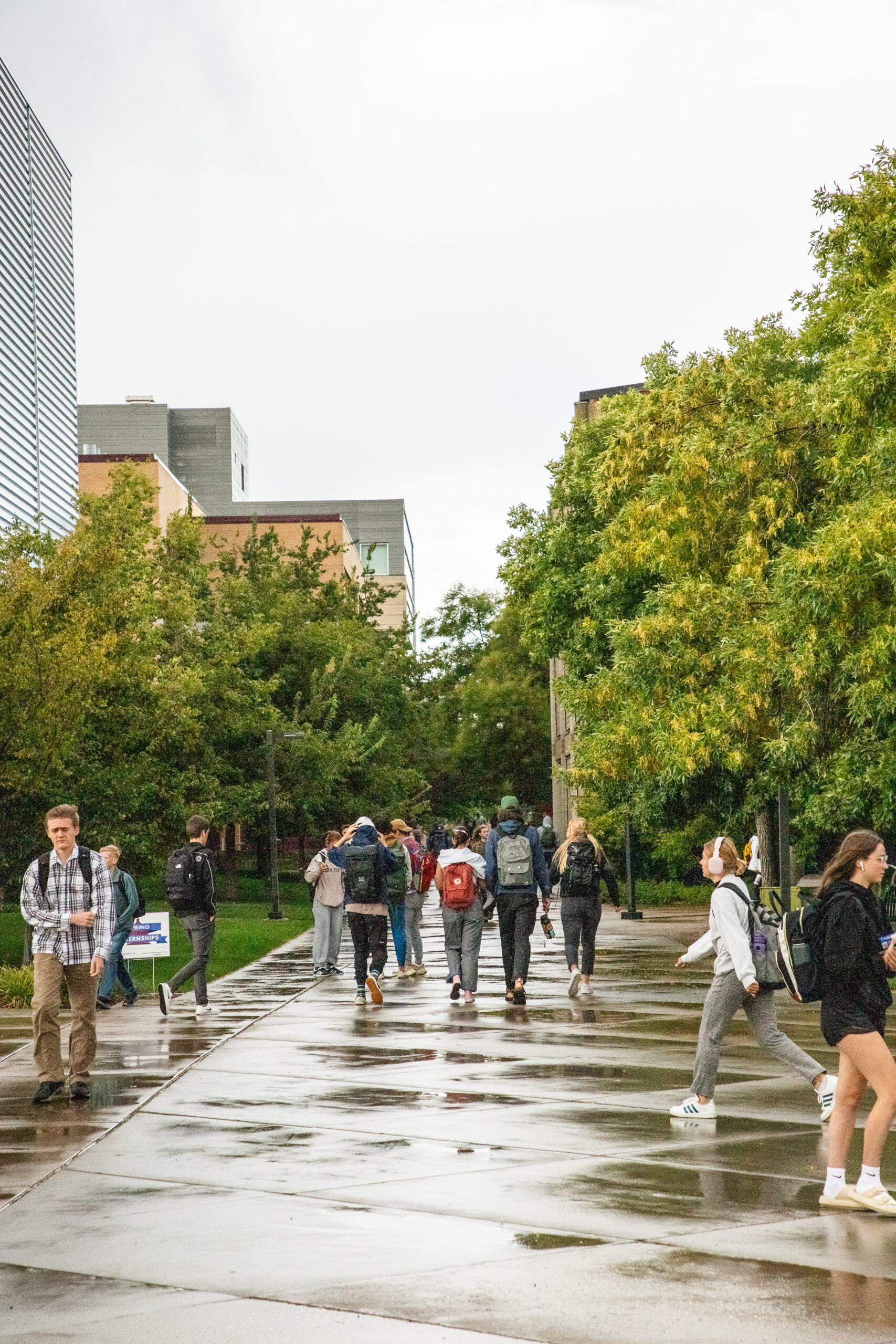The university's sustainability goals and what students can do to help - Vimarsana News