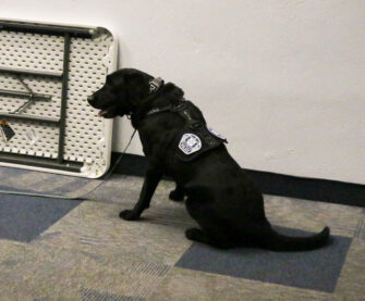 EOD dog Zoomer detects bombs before games