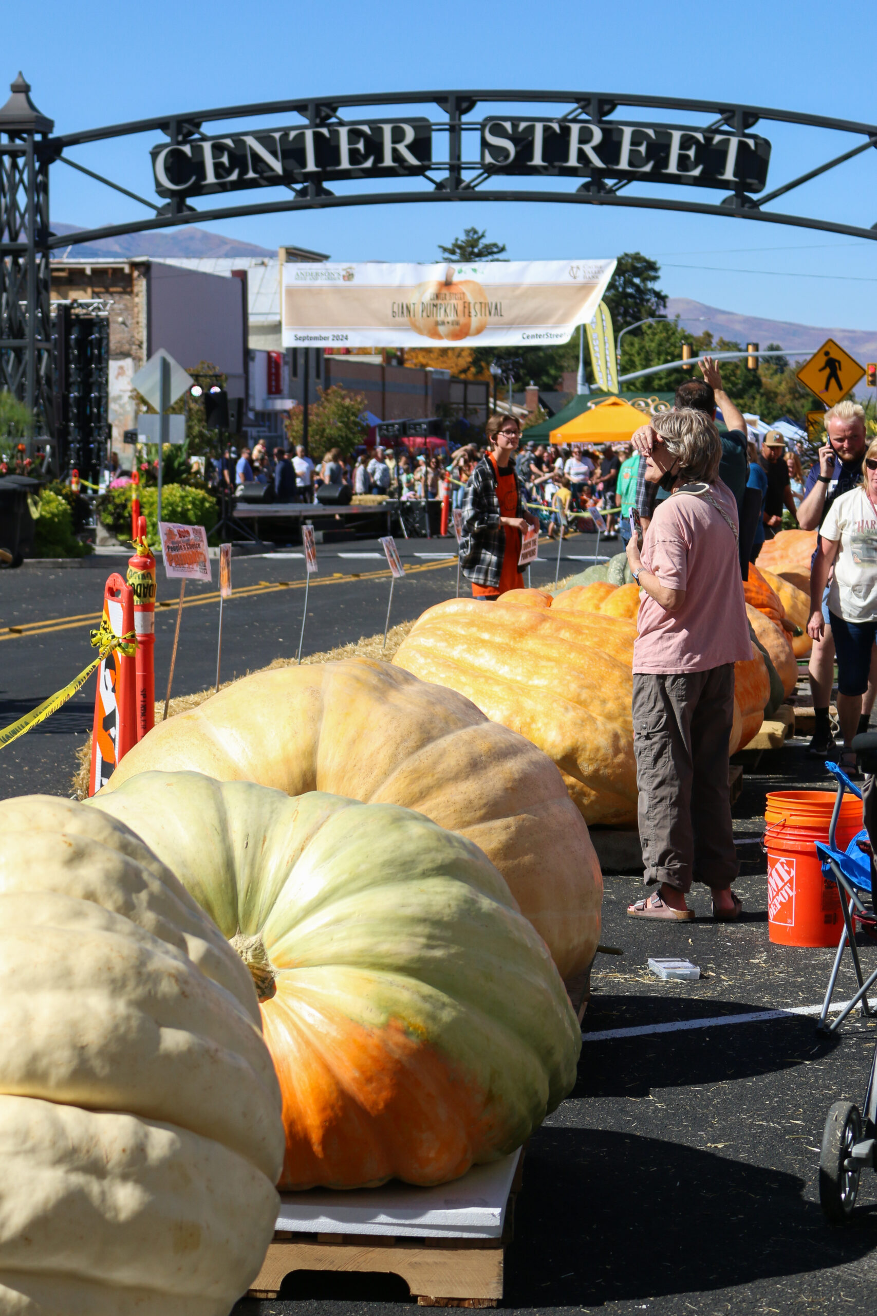 2024 Giant Pumpkin Festival takes over Center Street The Utah Statesman