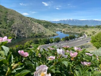 Opinion: Ways to enjoy summer break