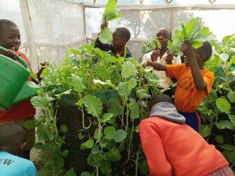 Walipini Impact builds greenhouse in Uganda