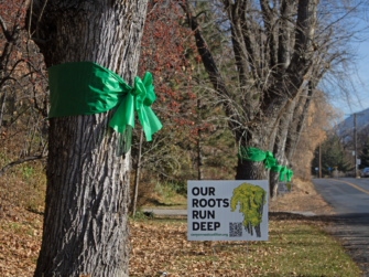 Guest article: Logan City moves forward with Canyon Road Improvement Plan