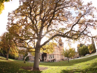 Talking trees connect students to nature