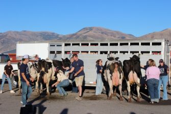 QANR hosts first Cowboy Night