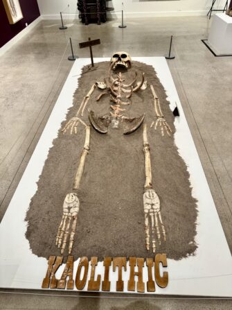 NEHMA Launches ‘The lure and Lore of the West’