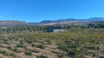 USU Agriculture makes its way to southern Utah