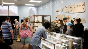 T. rex fans and pet rocks: Rock-n-Fossil Day celebrates geology for all ages