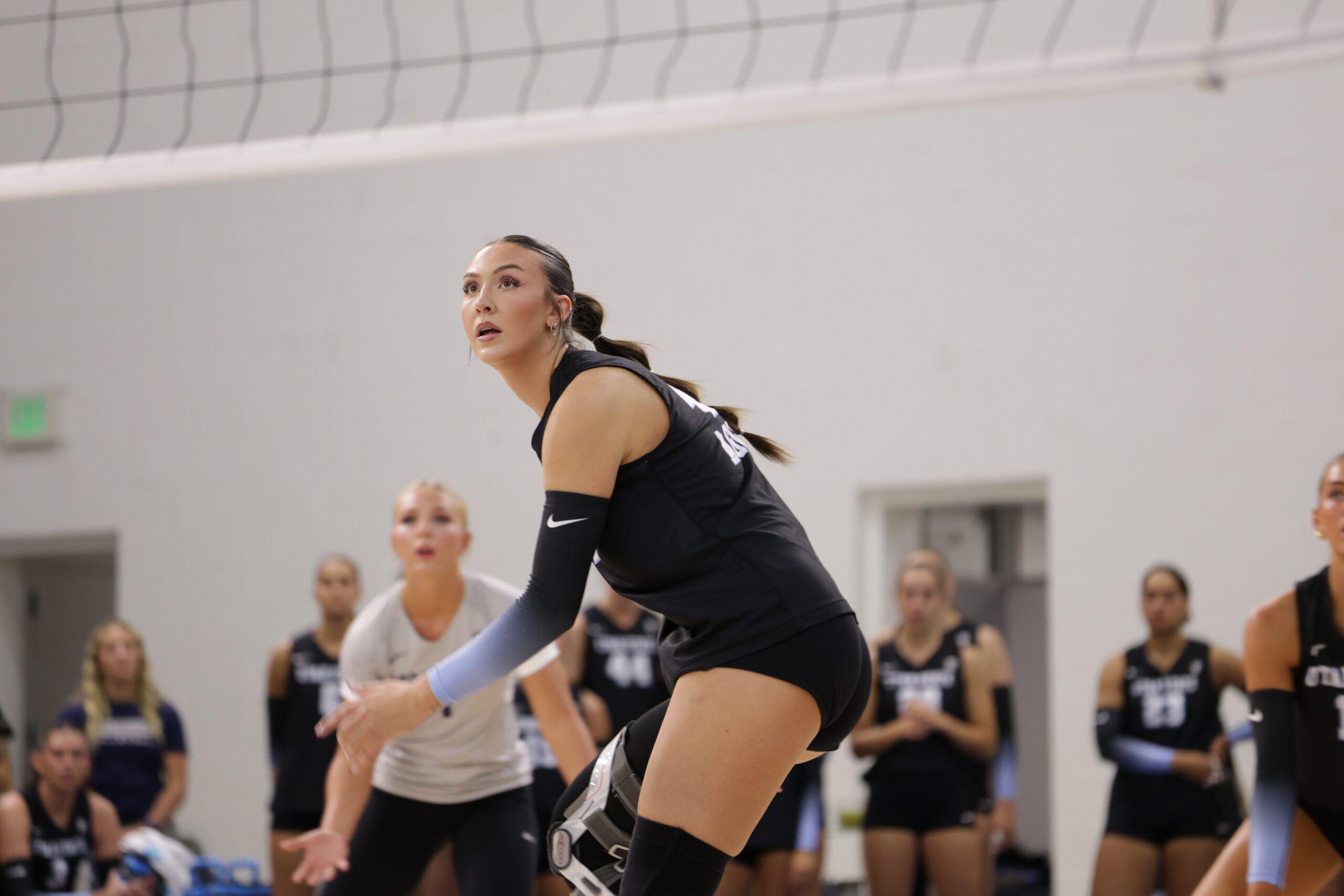 Utah State Volleyball falls to Utah in straight sets - The Utah Statesman